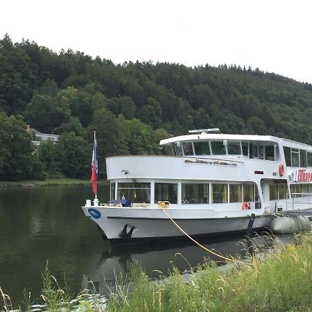 Natur Und Neckarblick Bei Heidelberg Hirschhorn Exteriér fotografie