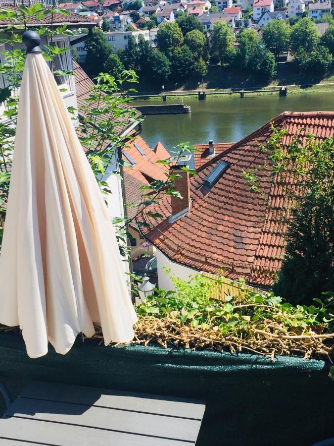 Natur Und Neckarblick Bei Heidelberg Hirschhorn Exteriér fotografie