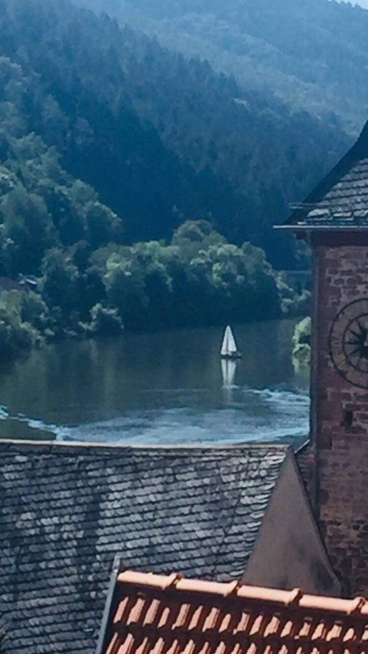 Natur Und Neckarblick Bei Heidelberg Hirschhorn Exteriér fotografie