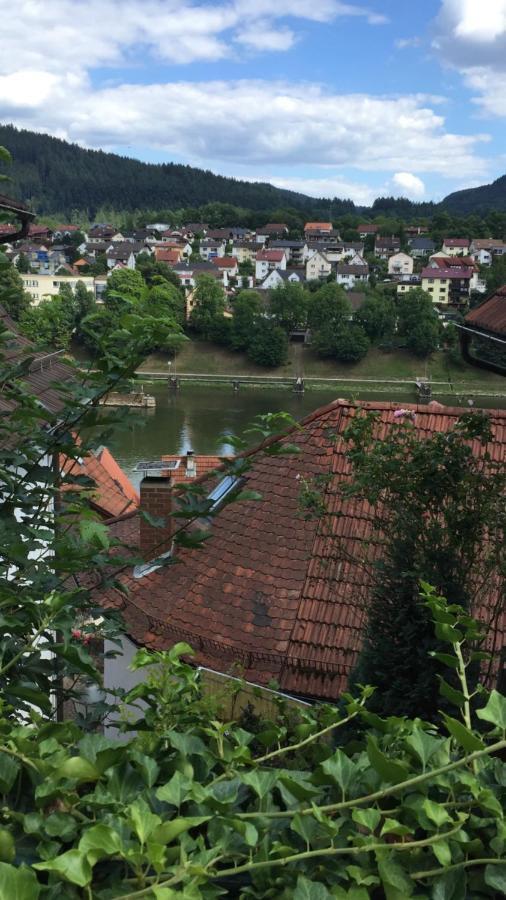 Natur Und Neckarblick Bei Heidelberg Hirschhorn Exteriér fotografie