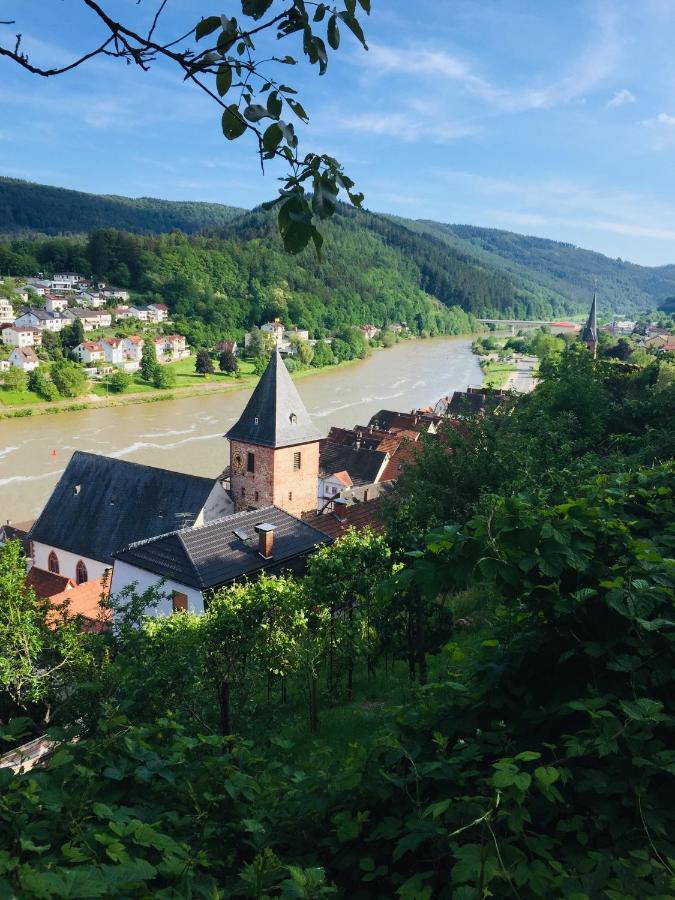 Natur Und Neckarblick Bei Heidelberg Hirschhorn Exteriér fotografie