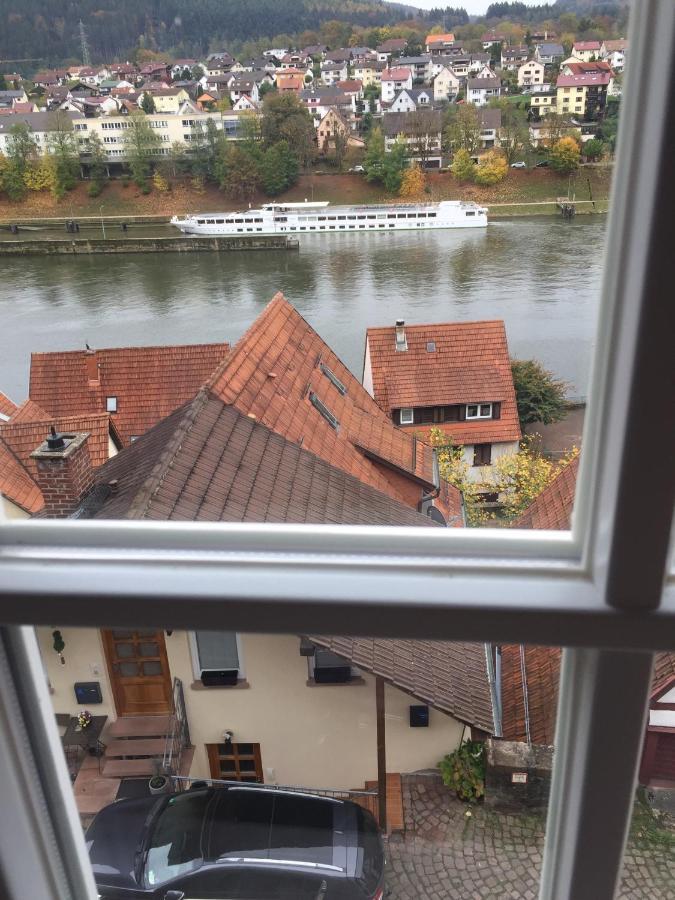 Natur Und Neckarblick Bei Heidelberg Hirschhorn Exteriér fotografie