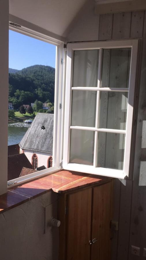 Natur Und Neckarblick Bei Heidelberg Hirschhorn Exteriér fotografie