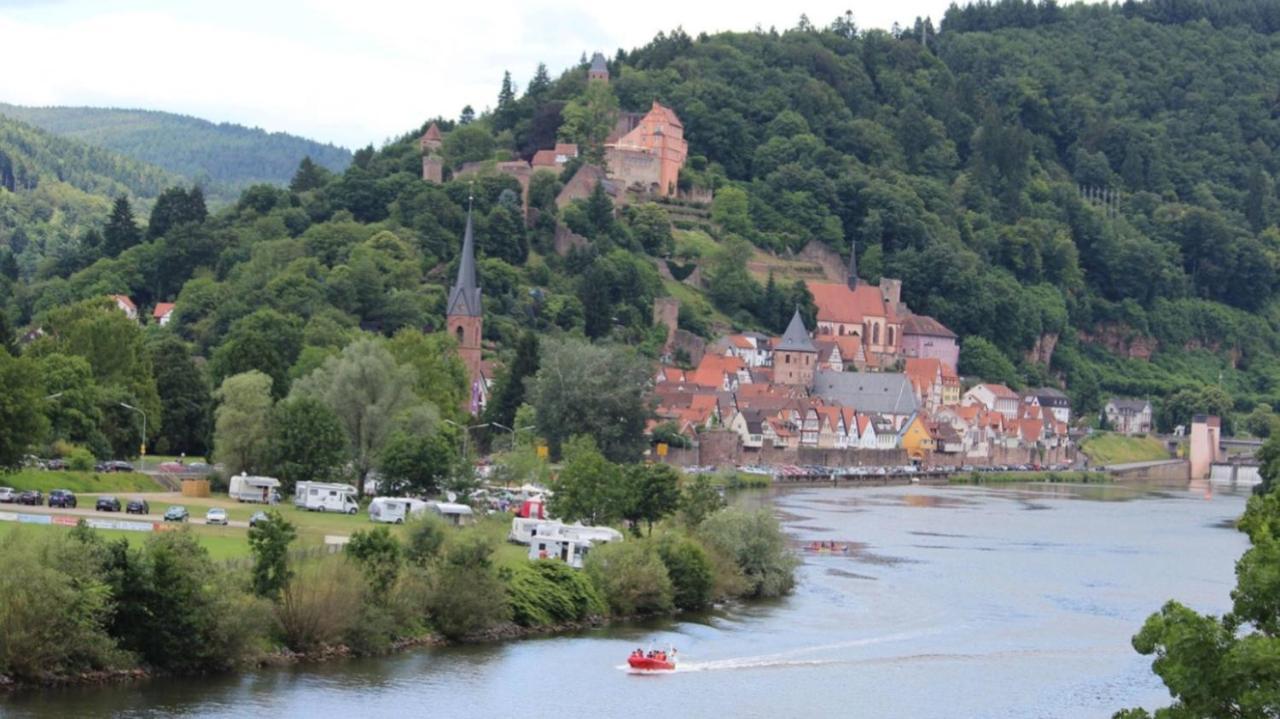 Natur Und Neckarblick Bei Heidelberg Hirschhorn Exteriér fotografie