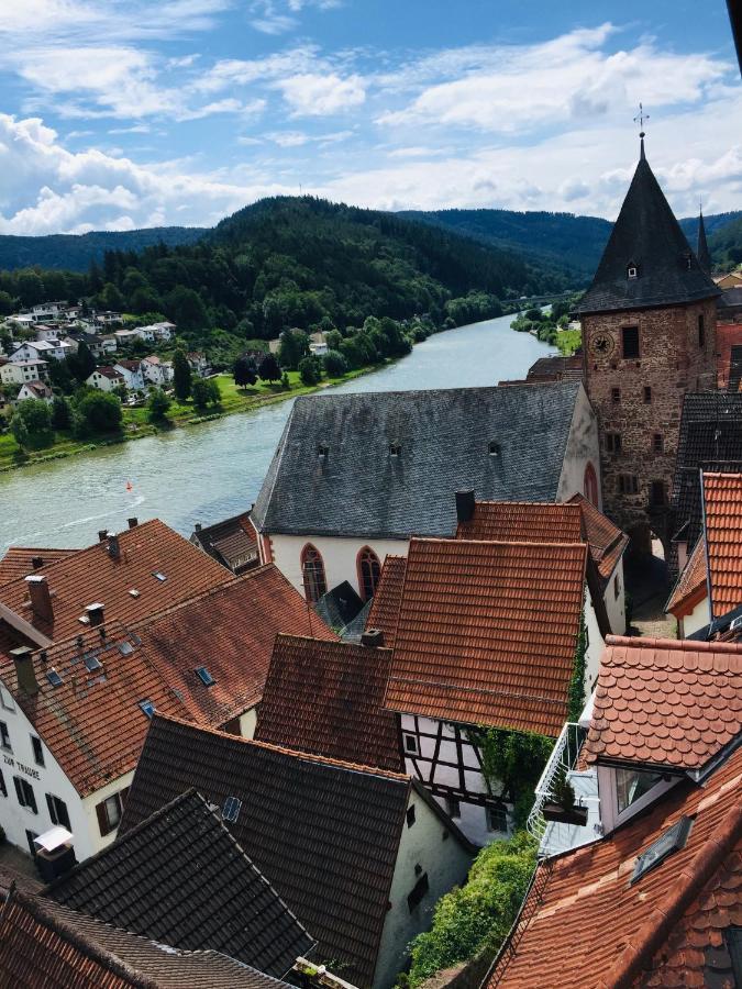 Natur Und Neckarblick Bei Heidelberg Hirschhorn Exteriér fotografie