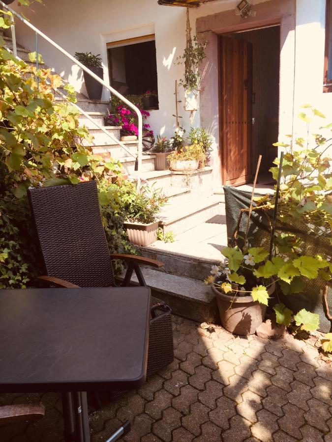 Natur Und Neckarblick Bei Heidelberg Hirschhorn Exteriér fotografie