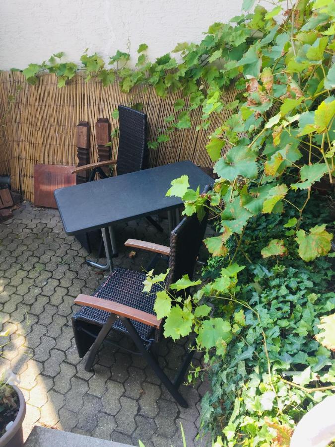Natur Und Neckarblick Bei Heidelberg Hirschhorn Exteriér fotografie