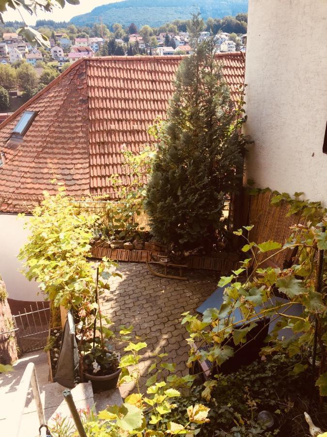 Natur Und Neckarblick Bei Heidelberg Hirschhorn Exteriér fotografie