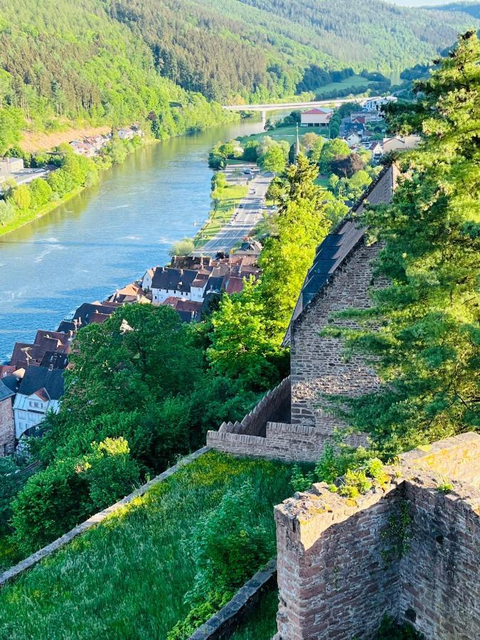 Natur Und Neckarblick Bei Heidelberg Hirschhorn Exteriér fotografie
