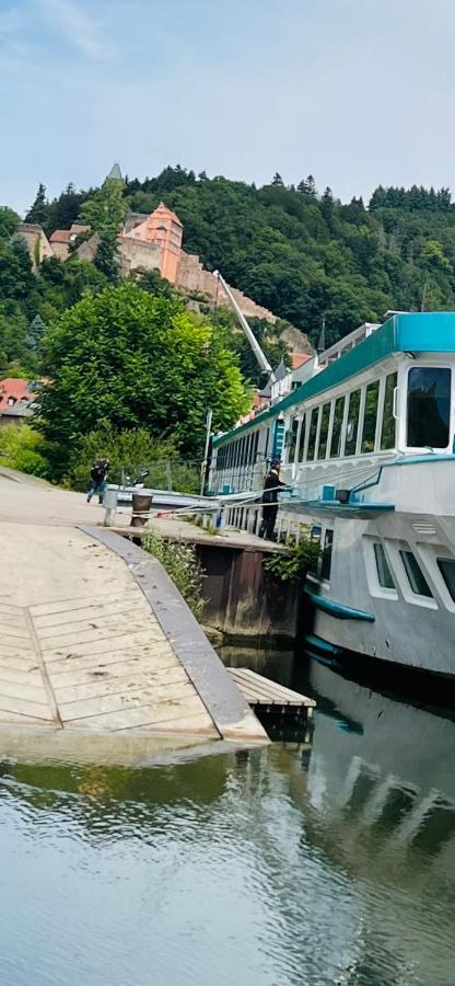 Natur Und Neckarblick Bei Heidelberg Hirschhorn Exteriér fotografie