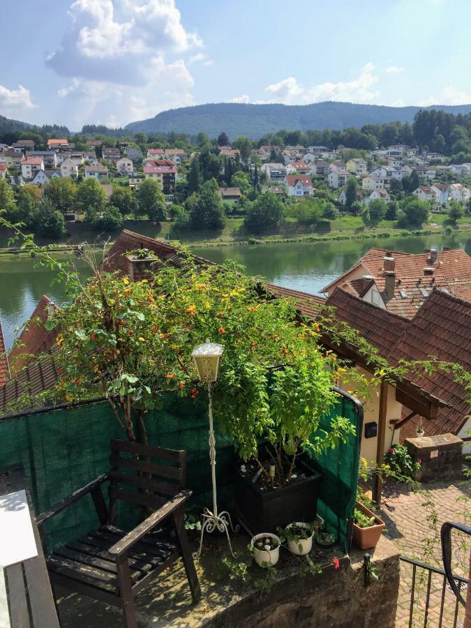 Natur Und Neckarblick Bei Heidelberg Hirschhorn Exteriér fotografie