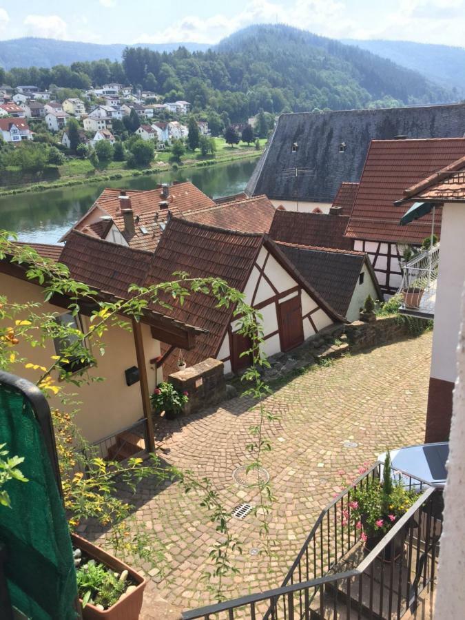 Natur Und Neckarblick Bei Heidelberg Hirschhorn Exteriér fotografie